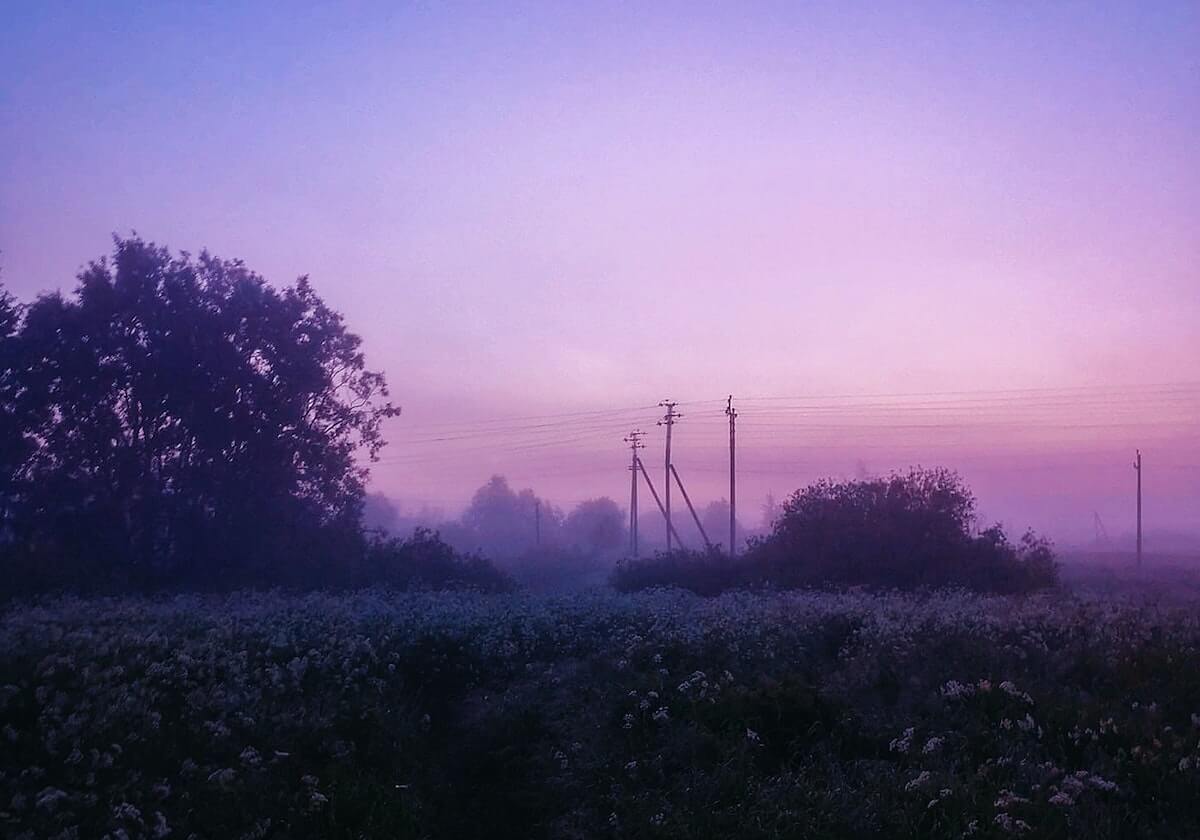 蘑菇视频随手记：关于叙事视角怎么切，我会先把例子和证据分开列（看完更有底气）