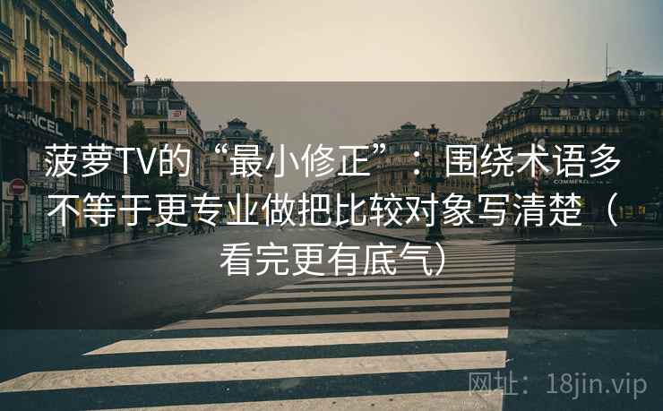 菠萝TV的“最小修正”：围绕术语多不等于更专业做把比较对象写清楚（看完更有底气）